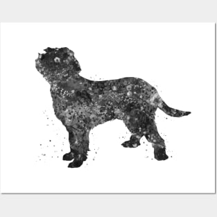 italian spinone dog black and white Posters and Art